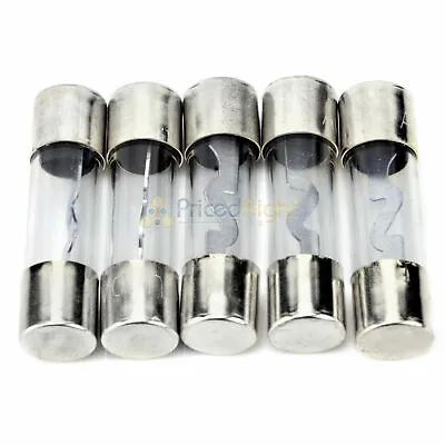 Pack Of 5 Car Audio Amp Amplifier Glass 100 A AMP AGU Platinum Plated Fuse • $6.49