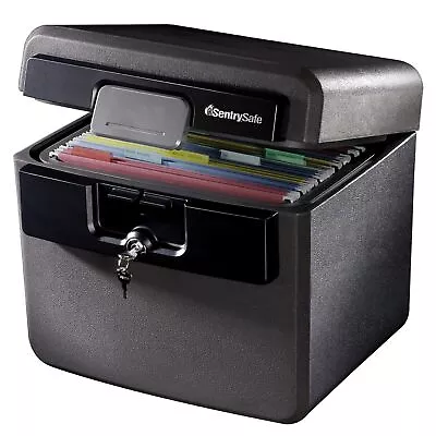 Sentry Safe Safe Box Fireproof Waterproof File Folder And Document Safe Ex... • $67.99