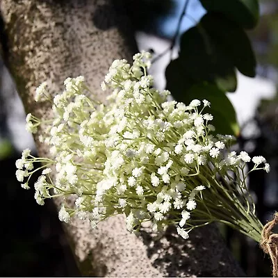 Artificial Gypsophila Flowers Fake Baby's Breath Bouquet Home Wedding Decor • £29.99