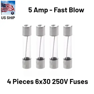 4 Pcs Fast-Blow Fuse 5A 250V Glass Fuses 6 X 30 Mm (5 Amp) | US Ship • $6.59