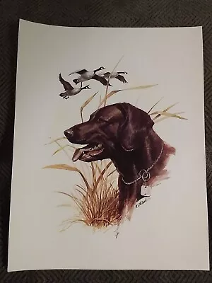 RARE R.J. McDonald Black Lab Flying Geese Hunting Themed Vintage 1978 Art Print • $30