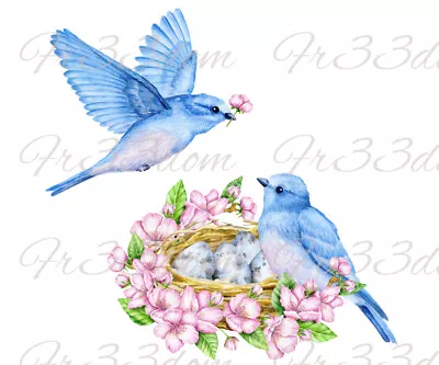 Cut & Stick Self Adhesive Stickers Furniture Wall Decal Clear 352 Birds In Love • £5.99