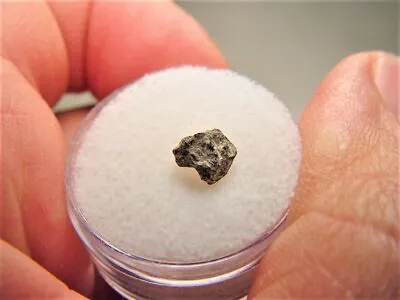 New Arizona Find! Rare Bencubbinite! Grapevine Mesa Meteorite! .31 Gms • $159.23