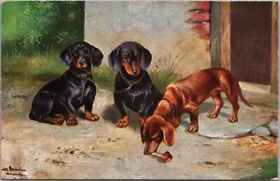 1910s DACHSHUND DOG Artist-Signed Postcard  German American Novelty Art  Unused • $5.62