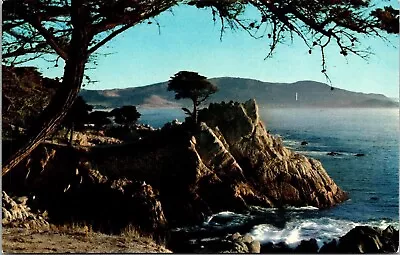 Scenic Midway Point 17 Mile Drive Monterey Peninsula California CA Postcard UNP • $3