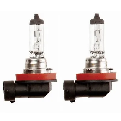 2x H11 Halogen 55W 12V Low-Beam Car Headlight Fog/Driving Light Bulb Clear Glass • $10.95