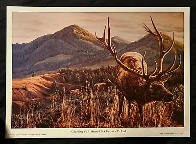 Signed Wildlife Art Print Elk Art  Open-edition Yellowstone NP Montana WY • $14