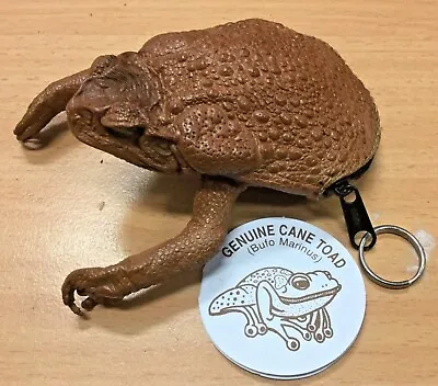 1 Genuine  Cane Toad Fashion Leather Purse Key Ring  Woman Man  Exotic  Unique • $25.68