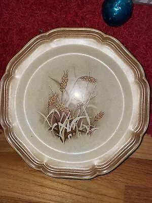 Vintage MIKASA Whole Wheat Jardiniere Dinner Plates #8000 Tan Floral Lot • $10