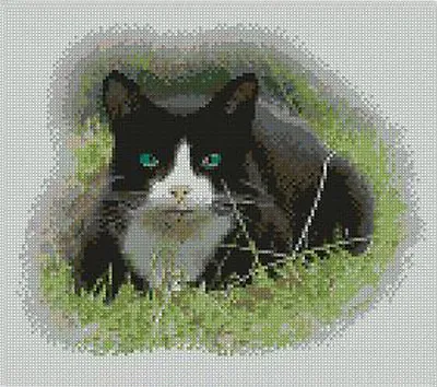 £16.75 • Buy Black & White Cat Counted Cross Stitch Kit 10  X 8.5  25.6cm X 21.6cm C2167