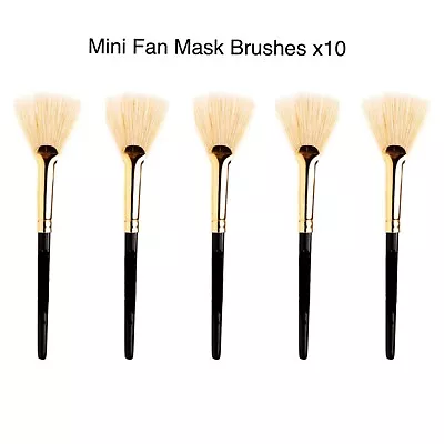 Mini Mask Fan Brushes  (x10) • £5.80