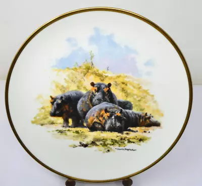 THE HIPPOPOTAMUS David Shepherd Wedgwood Collectors Plate With Certificate • £10