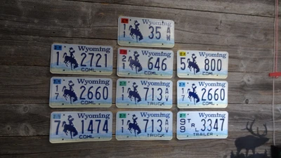 $19.99 • Buy Wyoming License Plate Bulk Lot Bucking Horse All Original Embossed Blue Mtns !!!