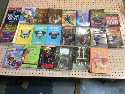 $18 • Buy Kids Chapter Books Lot Of 22 Bulk Series Early Books Books For Kids Boys Girls