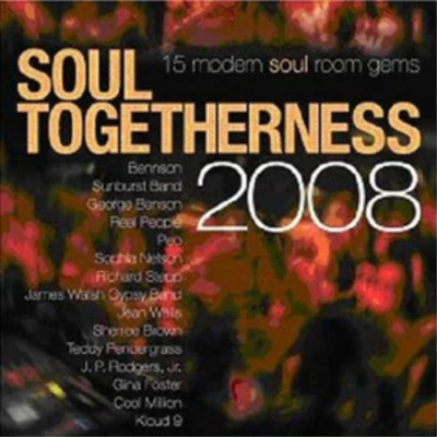 £13.52 • Buy Various Artists Soul Togetherness 2008 (CD) Album