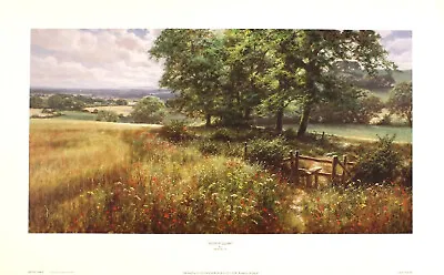 David Dipnall  Distant Gleam  English Landscape Green Fine Art Print Collectible • £21.99