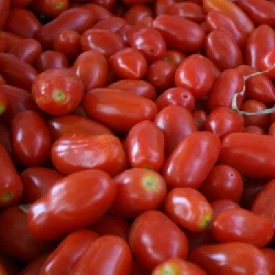 San Marzano Short Vine Tomato Seeds (Determinate) | Non-GMO | Free Shipping 1024 • $1.99