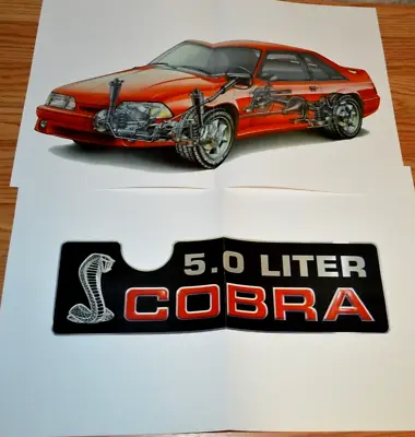 1993 Ford Mustang Svt Cobra Original Brochure Foldout Poster Inner View 93 5.0 • $19.99