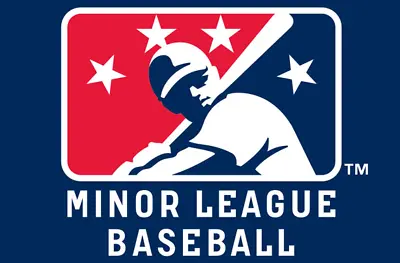 2024 MiLB Triple-A Baseball Teams Schedule Magnets 5  X 3.5 (Choose From List) • $4.99