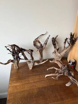 £15.91 • Buy Driftwood Pieces X4 Branching  Tree  Shapes Solid, Heavy  / Vivarium . Bogwood
