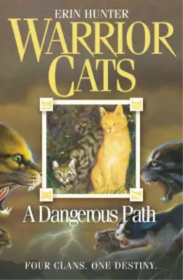 A Dangerous Path (Warrior Cats Book 5) Hunter Erin Used; Good Book • £3.36