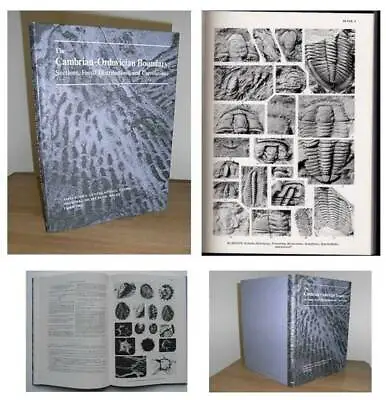 £16 • Buy 1982 Paleontology THE CAMBRIAN ORDOVICIAN BOUNDARY Fossils Trilobites Geology