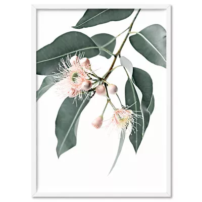 Flowering Eucalyptus Art Print. Gum Leaves Wall Art. Australian Native | PLT-115 • $22.95