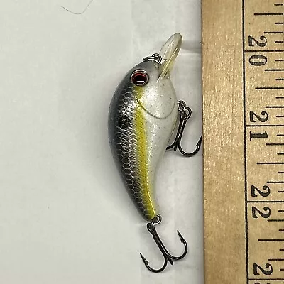 H2O Xpress Crankbait Fishing Lure  • $4