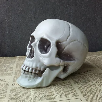 Halloween  Artificial Skull Head Model Skull Bone Scary Horror Skeleton Orna  ZC • £3.70