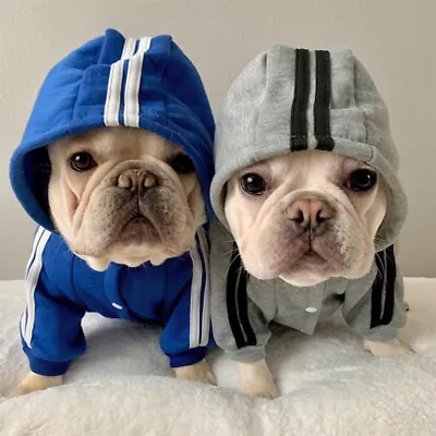$9.49 • Buy Warm Pets Winter Clothes Small Dogs Hoodies Fleece Sweatshirt Jacket Clothing