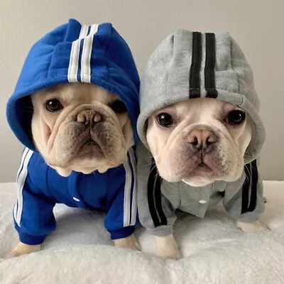 $9.49 • Buy Warm Pets Winter Clothes Small Dogs Hoodies Fleece Sweatshirt Jacket Clothing