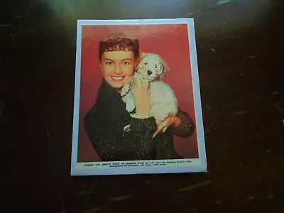 Janette Scott - Clipping Picture 1955 • £2.99