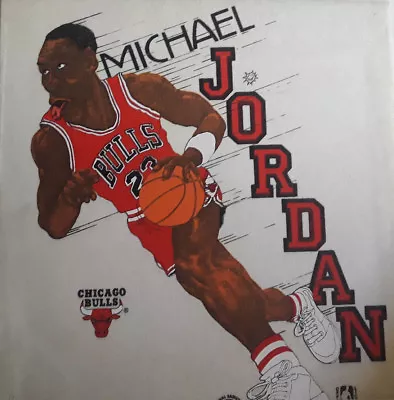 1 Of A Kind MICHAEL JORDAN Wall Display NBA 1/1 Chicago Bulls 1986 Rookie RC • $1500