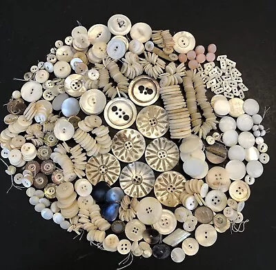 Lot (#19) Antique Mother Of Pearl And Shell Buttons Over 1 Pound • $21