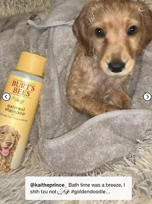 Burt's Bees For Dogs Oatmeal Shampoo With Colloidal Oat Flour + Honey 32 Fl Oz • $10