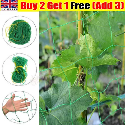 £7.55 • Buy GREEN CLIMBING PLANT NET Sweet Pea Runner Beans Crop Allotment Mesh Anti Bird UK