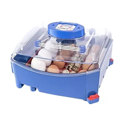 Borotto Lumia 16 Incubator (Universal Egg Tray System) (Poultry Hatching Eggs) • £189.99