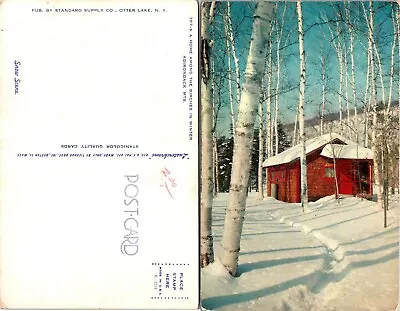 New York(NY) Adirondack Mountains Home Among Birch Trees Snowy Vintage Postcard • $9.89