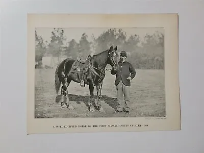 1st Massachusetts Cavalry Horse Soldier 1864 1911 Civil War Picture • $19.99