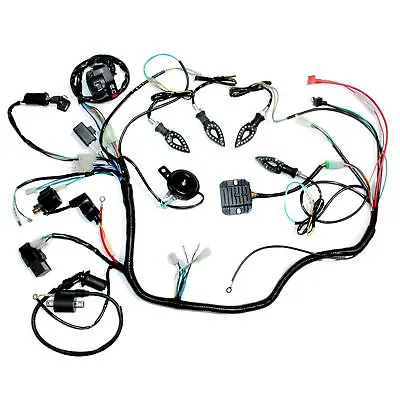 Electric Start Engine Wiring Harness Loom+ Light 150cc 250cc Quad Bike ATV Buggy • $108.19