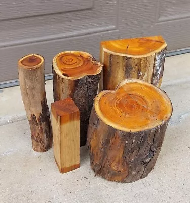 Lot Of 5 Pacific Yew Rounds & Blanks! Air Dried 1+ Years (L831) • $16