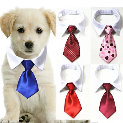£2.99 • Buy Dog Cat Pet Puppy Kitten Lattice Bow Tie Clothes Striped Necktie Collar UK New