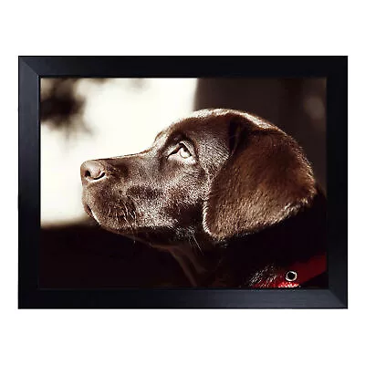 Chocolate Labrador Dog Lap Tray Cushioned Bean Bag Padded TV Dinner Desk • £29.95