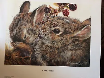 Vivi Crandall Limited Edition  Bunny Berries  #200/760 Pristine Sold Out • $525