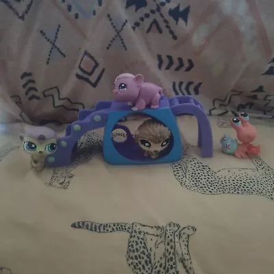 Littlest Pet Shop LPS Pack Slidw Hedgehog Hermit Crab Hamster Meerkat Vintage  • $10