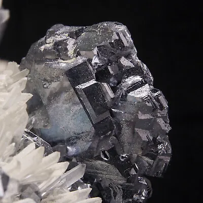 GALENA QUARTZ - Krushev Dol Mine Madan - BULGARIA 7H67 **VIDEO** • $263.90