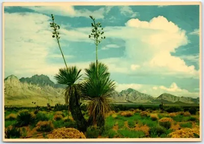 $6.11 • Buy Postcard Organ Mountains Near Las Cruces New Mexico USA North America