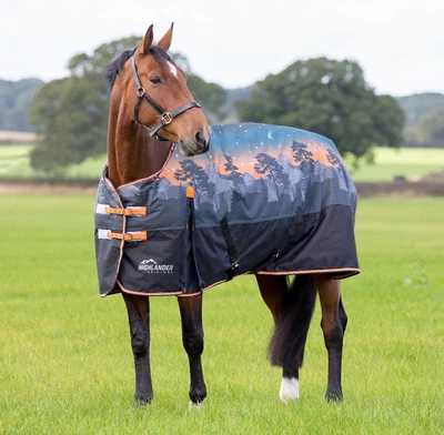 £41.99 • Buy Highlander Original 200 Turnout Rug Winter Sun