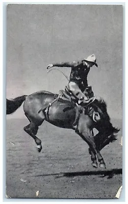 1941 Iowa's Championship Rodeo Horse Cowboy Sidney Iowa Vintage Vintage Postcard • $19.95