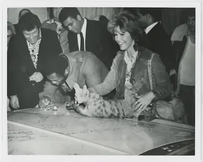 Muhammad Ali Joe Frazier 1970s Vintage Original Type 1 8x10 Photo PSA LOA 23716 • $149.99